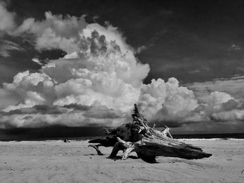 People on beach against sky