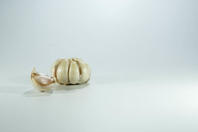 Close-up of bread on table against white background
