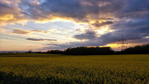 Scenic view of field against sky during sunset