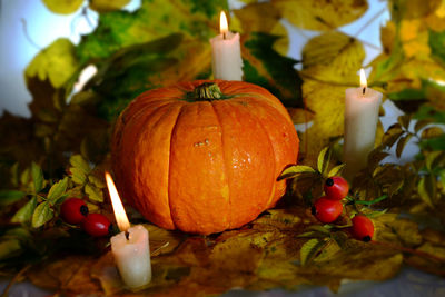 Close-up of pumpkins on plant