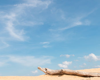 Scenic view of beach against blue sky