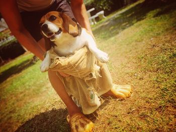 Midsection of woman with dog on field