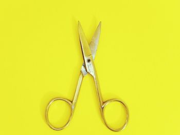 Close-up of yellow object over white background