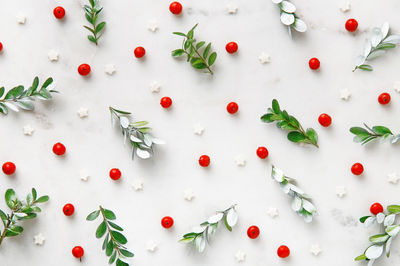 Directly above shot of fruits against white background