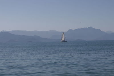 Sailboat sailing on sea against clear sky