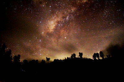 Low angle view of silhouette trees against sky at night