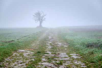 Scenic view of field against sky during foggy weather