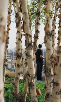 View of man through trees in city