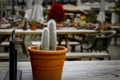 Close-up of cup on table