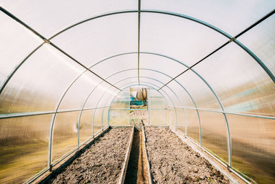 Interior of greenhouse