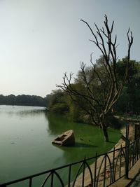 Scenic view of lake with trees in background