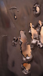 Close-up of rusty water