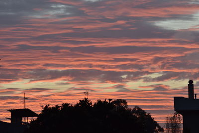 Low angle view of silhouette trees against orange sky