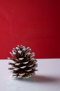 Close-up of flower over red background