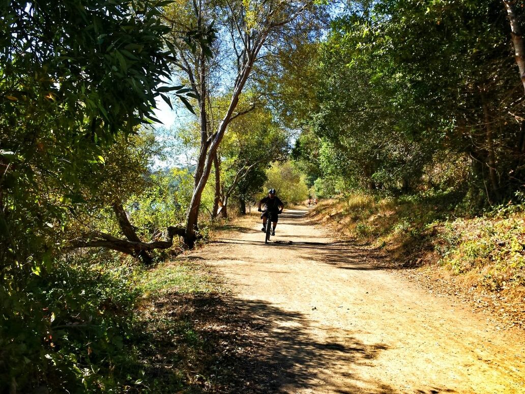 WOMAN WALKING ON FOOTPATH