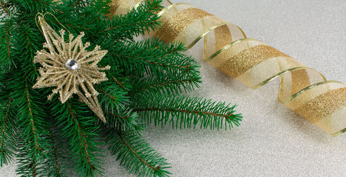 Close-up of christmas tree