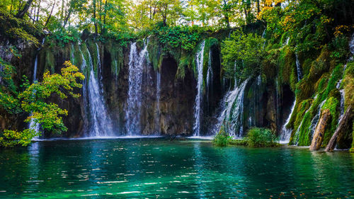 Scenic view of waterfall in forest