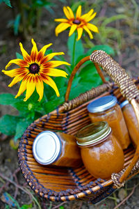 Close-up of yellow flowers
