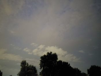 Low angle view of trees against cloudy sky