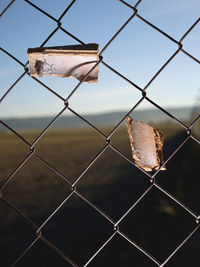 chainlink fence