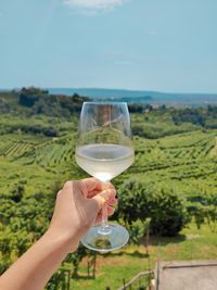 Cropped hand holding wineglass