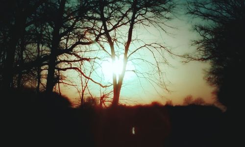 Sunlight streaming through silhouette trees on field against sky at sunset