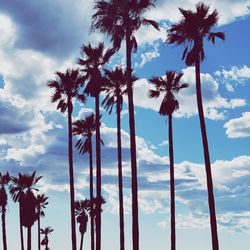 Low angle view of coconut palm trees against sky