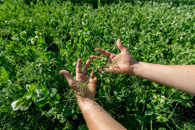 Cropped hand of person against plants