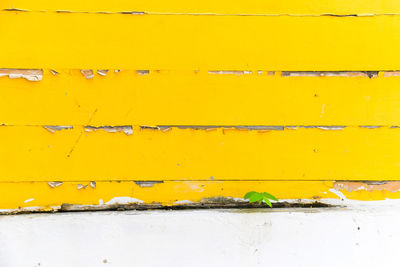 Full frame shot of yellow wall