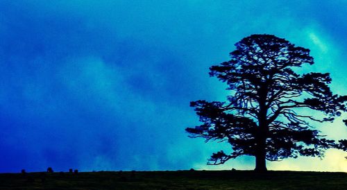 Tree on landscape against blue sky