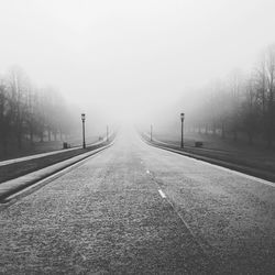 Empty country road along trees in foggy weather