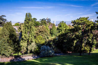 Trees and plants in park against sky