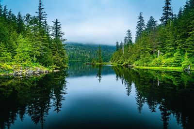 reflection