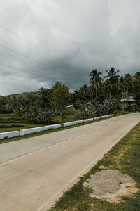 Road by trees and city against sky