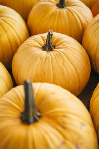 Full frame shot of pumpkins