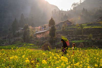 Scenic view of flowering plants on field against mountains