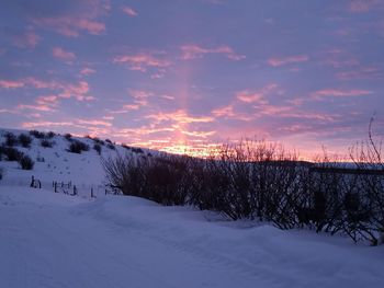 Scenic view of snow covered field against sky at sunset