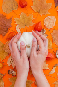 High angle view of woman hand holding maple leaves during autumn