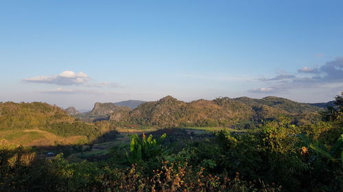 Scenic view of landscape against sky