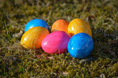 Close-up of multi colored eggs on grass