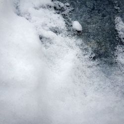 Snow covered trees