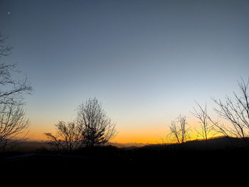 Silhouette bare trees on field against clear sky during sunset