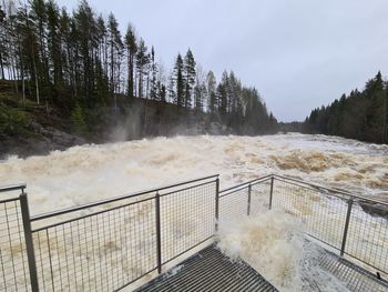 Springtime waterfall byske river 