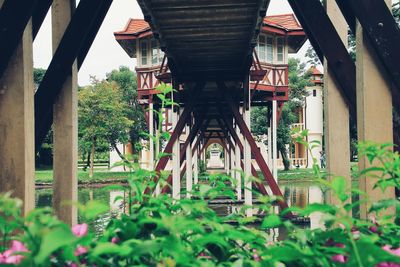 Low angle view of bridge and plants in city