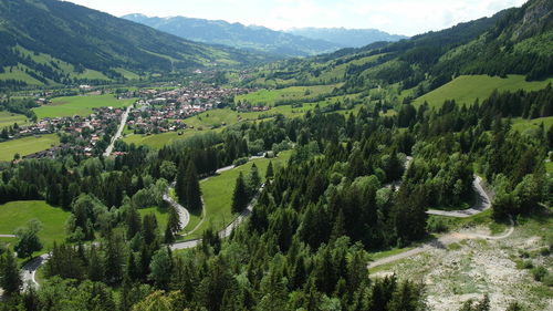 High angle view of trees on field against mountains