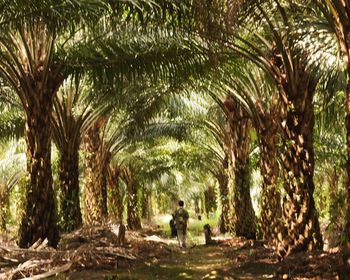 People walking on footpath