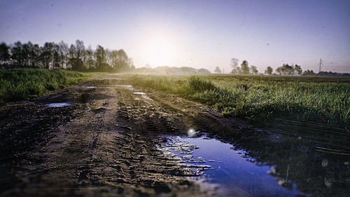 Reflection of trees in puddle on field against sky