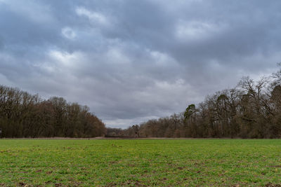 Scenic view of field against sky