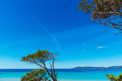 Scenic view of sea against blue sky