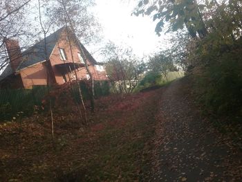 Dirt road amidst trees and houses against sky during autumn